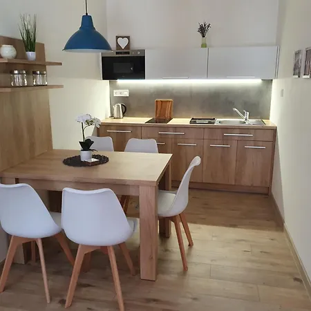 Domirexgroup ゲストハウス *