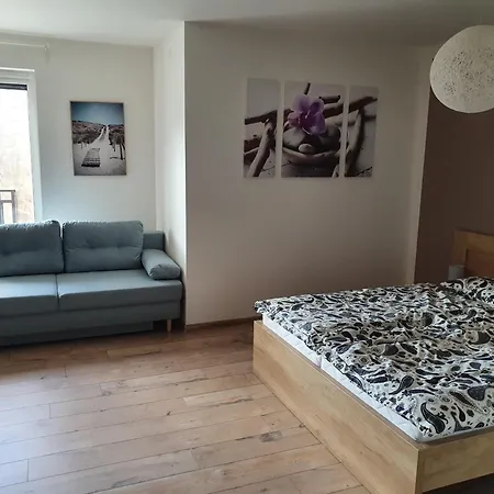 ゲストハウス Domirexgroup *