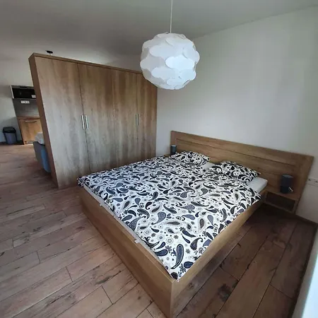 Domirexgroup ゲストハウス *